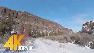 4K Virtual Hike with Snow Crunching Sound - Winter Walk along Northrup Canyon