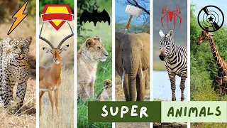 These Animals Have Superpowers That Will Blow Your Mind - You Won't Believe It!