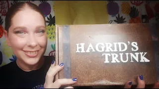 Hagrid's Trunk March 2020 unboxing