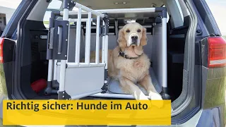 Hunde im Auto transportieren: So geht's richtig | ADAC