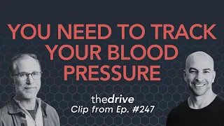 Why is it so important to keep blood pressure in check? | Ethan Weiss & Peter Attia