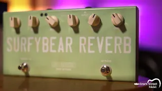 Surfybear Compact Reverb Review - Front Street Music