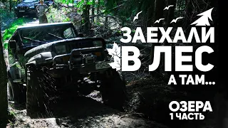 Кто из кроссоверов выживет в лесу... Suzuki Vitara, Hyundai Creta, BMW X3, Nissan X-trail и др.