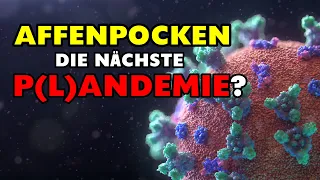 Affenpocken ► die nächste P(L)ANDEMIE?