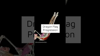 Dragon Flag Progression #CoreStrength #muscleandmotion