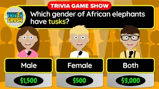 👉 Today's Best GENERAL KNOWLEDGE Daily Trivia Quiz - Unique Game Show Format | June 7, 2024