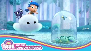 Shoompee Saves the Forest Critters | True Winter Wishes | True and the Rainbow Kingdom