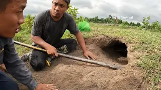 Brave Pitbull Dog Catches Giant Crocodile | King of Survival