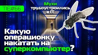 Мухи входят в IT, лучшая операционка для суперкомпьютера и китайская AI-медицина  | TIE #66