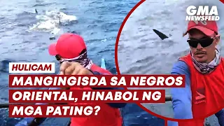 Mangingisda, hinabol ng mga pating? | GMA News Feed