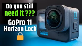 GoPro MAX lens Mod or GoPro 11 Horizon Lock ?