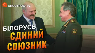 ШОЙГУ В БІЛОРУСІ НА ПЕРЕМОВИНАХ: єдиний союзник рф – Лукашенко / Пєлєвина