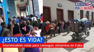 ¿Esto es vida? Interminables colas para conseguir alimentos en Cuba