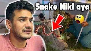 Ghar Kay Garden Sy Snake Nikl aya || Sari Family Khoof Main😱