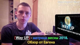 WAYUP ПРОЕКТ / ЛУЧШИЙ ЛИНЕЙНО-МАТРИЧНЫЙ МАРКЕТИНГ