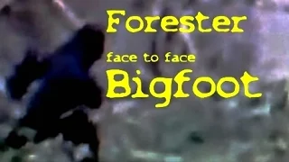 Forester shocked! Face to face with Bigfoot