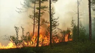 Европейская жара в Гренландии