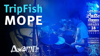 TripFish - Море Live