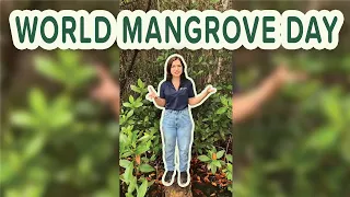 World Mangrove Day Livestream with Renee Grambihler