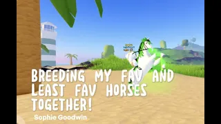 ✨Breeding Fav and Least Fav Horses Together!!✨ (Wild Horse Islands) #roblox