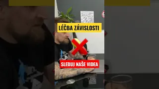 LÉČBA ZÁVISLOSTI, ALKOHOLIK