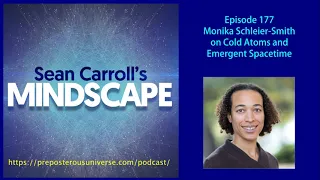 Mindscape 177 | Monika Schleier-Smith on Cold Atoms and Emergent Spacetime