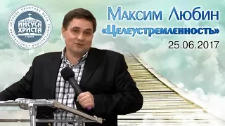 Максим Любин "Целеустремленность" (25.06.2017)