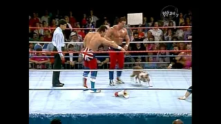 The British Bulldogs vs. Hart Foundation (11.06.1987)