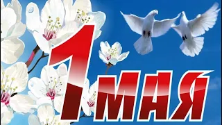 1 МАЯ! МИР, ТРУД, МАЙ! Музыкальная видео открытка!