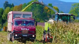 Corn Silage 2017/*Claas Jaguar 840*/2x John Deere/Tatra 815/Case IH/Zetor