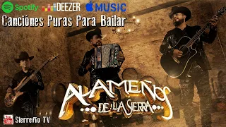 Los Alameños De La Sierra Mix 2024 Lo Más Chingon ~ Puros Huapangos ~ Puras Cumbias Para Bailar