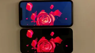 iPhone 12 OLED (Super Retina XDR) vs iPhone 11 LCD Screen Comparison Test