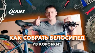 КАК СОБРАТЬ и НАСТРОИТЬ ВЕЛОСИПЕД из коробки? | На примере велосипеда Welt Edelweiss