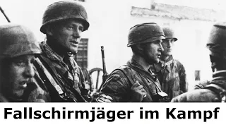 Von der Ostfront bis nach Monte Cassino / Tagebuch eines Fallschirmjägers / Teil 4