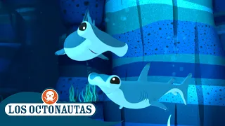 Los Octonautas - Los tiburones martillo bebés | Episodios Completos