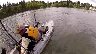 Kayak Fisherman hit by Boat