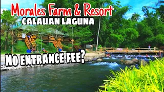 MORALES FARM & RESORT CALAUAN LAGUNA | No Entrance Fee