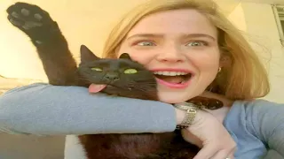 FUNNIEST CAT MEMES COMPILATION OF 2020 - 2021 PART 56 (FUNNY CATS)