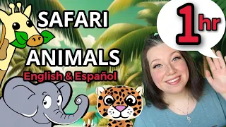 Bilingual Toddler Learning | Safari Animals | Toddler Activities |Nursery Songs | Cancion Infantiles