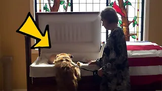 Heartbreaking photo shows dog standing at casket to say goodbye to owner