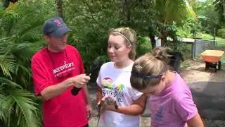 Everglades Alligator Farm - Come Join the Fun