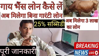 गाय भैंस लोन कैसे अप्लाई करें | dairy loan kaise apply Karen | pashu loan | pashuplan loan kaise le