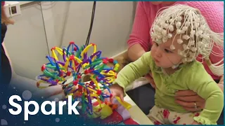 The Brain's Flexibility To Learn And Adapt In Childhood | The Brain Fitness Program | Spark