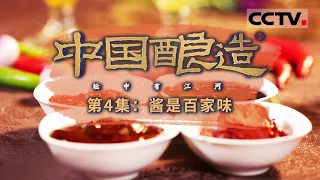 《中国酿造》中国人餐桌上离不开的调味料：酱！一起寻找“酱”的起源与历史！EP04【CCTV纪录】