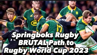 Springboks Rugby 🏉 - BRUTAL Path to Rugby World Cup - Dominating the Field #rugby #sports