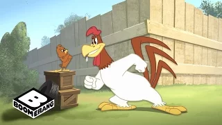 The Looney Tunes Show | Chicken Hawk Song | Boomerang