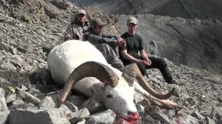 Dall Sheep Hunt With Grizzinator