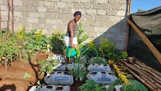 Life in the countryside. Gardening. How to plant cucumber and watermelon at home. Huge harvest food.