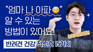 강아지의 "나 아파" ! 알 수 있는 방법이 있다고요? 🤕 | 반려견 건강적신호 15가지 | 설채현 행동학 수의사