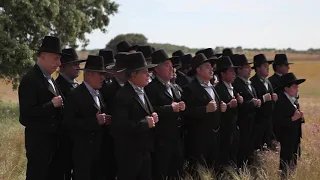 Rancho de Cantadores da Aldeia Nova de São Bento